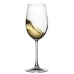Bílá vína