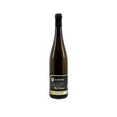 Ryzlink rýnský Premium 2019 - moravské zemské víno